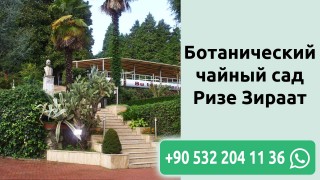 Ботанический чайный сад Ризе Зираат